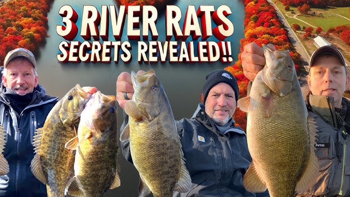 Updated Susquehanna River Fishing Report: Ideal Times and Bait for Success