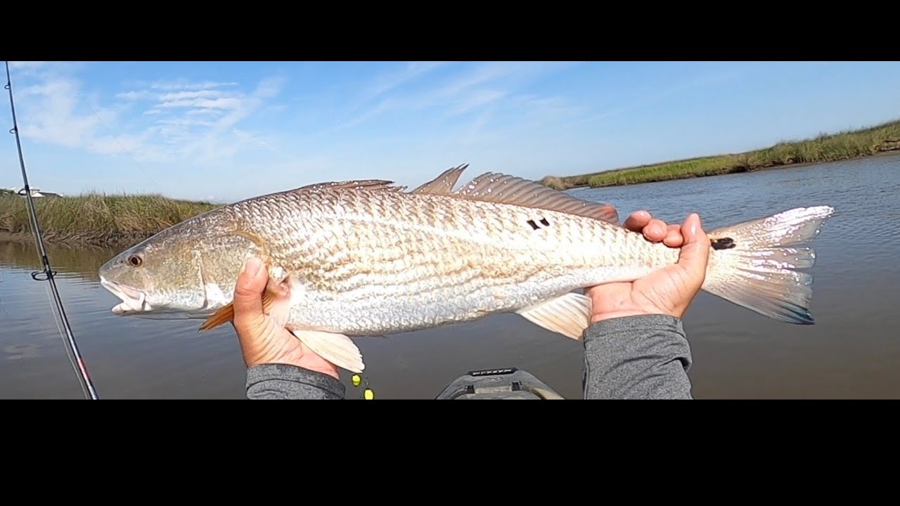 Top Fishing Spots at Lake Calcasieu: A Guide to Redfish, Flounder, and Trout