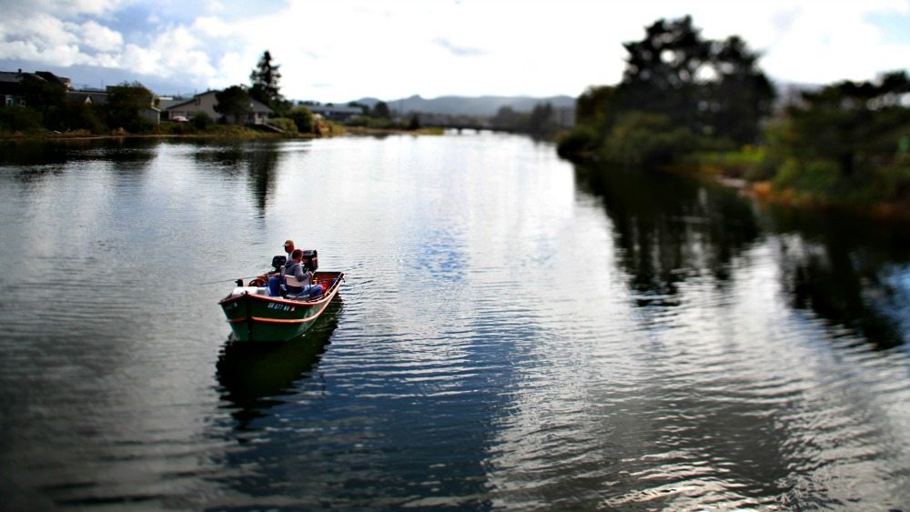 Exploring the Necanicum River: Fishing, Wildlife, and Scenic Views in Seaside, Oregon