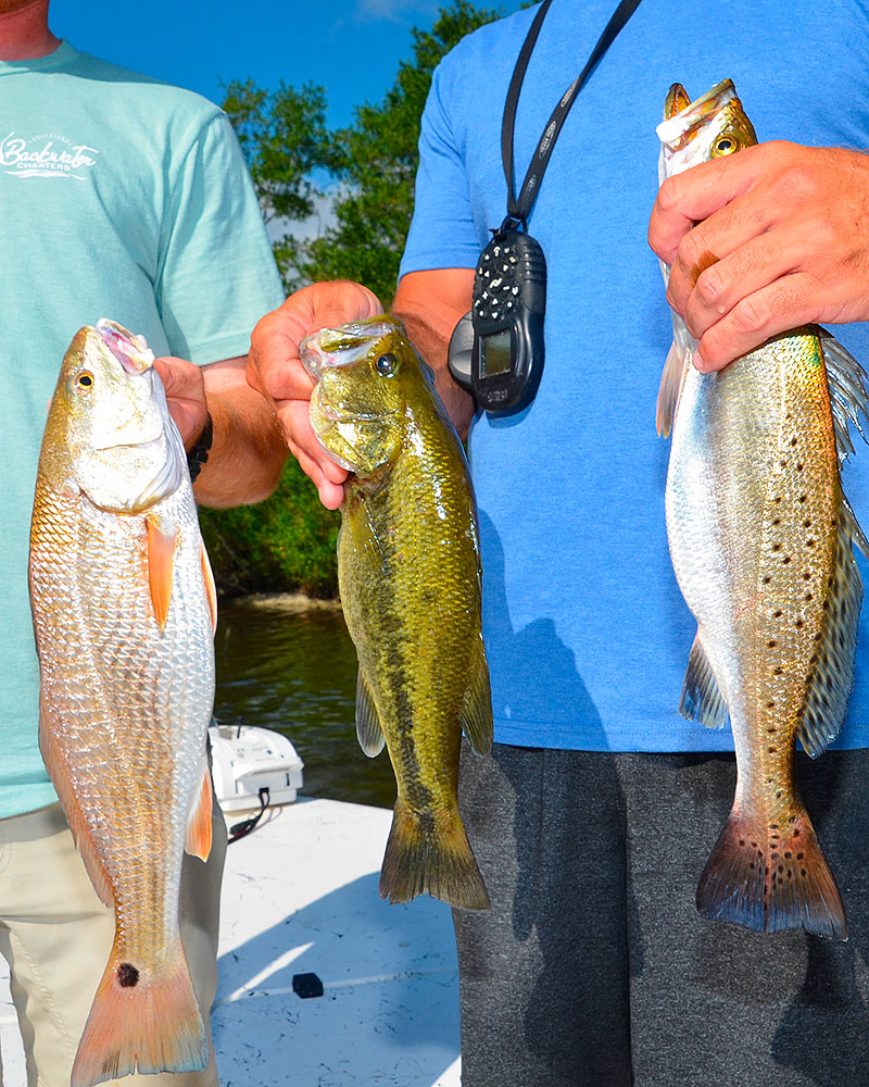 Fishing at Calcasieu Lake, Louisiana: Best Spots & Tips for Anglers