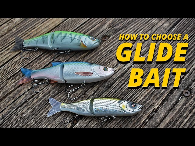 Best Glide Baits for Bass: How to Choose the Right Size and Color