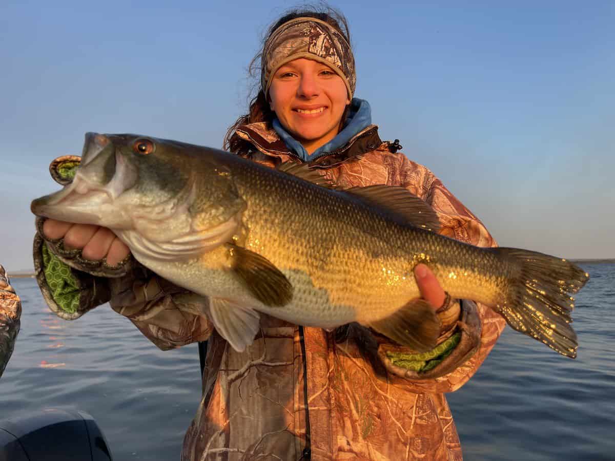 Latest Lake Champlain Fishing Report: Best Times and Bait for Bass & Pike