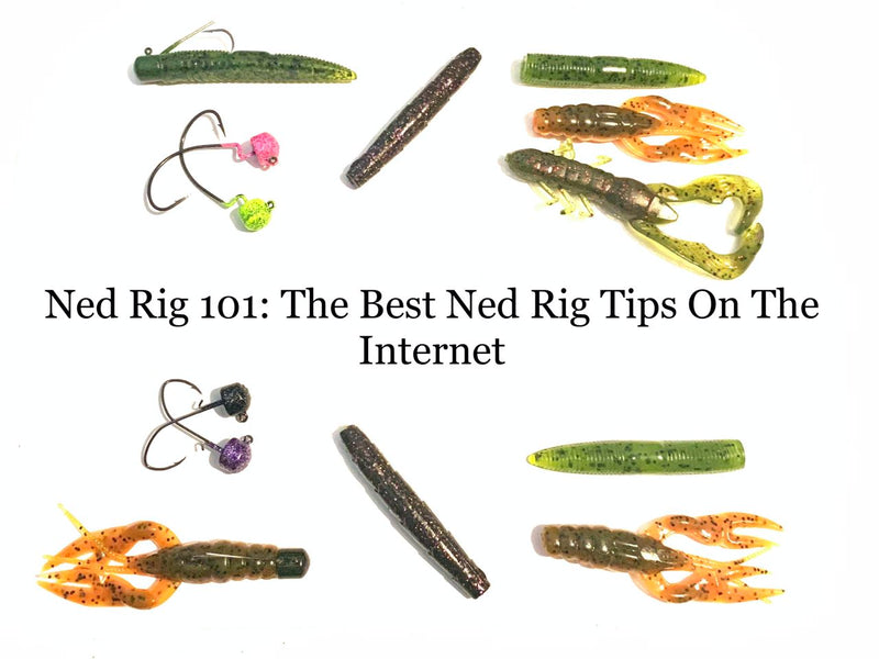 Mini Ned Rig Tips and Techniques for Effective Fishing