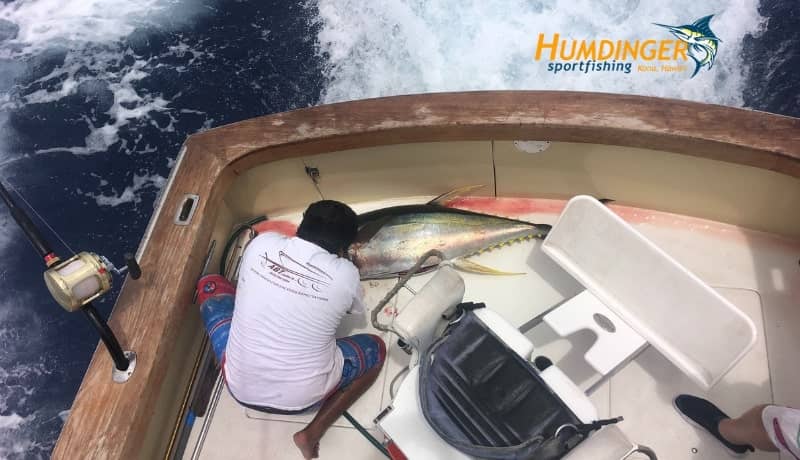 kailua kona fishing report