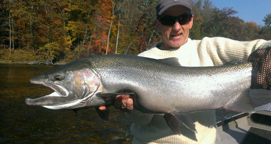 Muskegon River Fishing Report: Best Times and Tips for Steelhead and Salmon Fishing