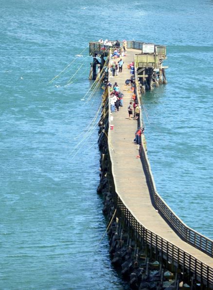 Everything You Need to Know About Newport Municipal Crabbing Pier in Oregon