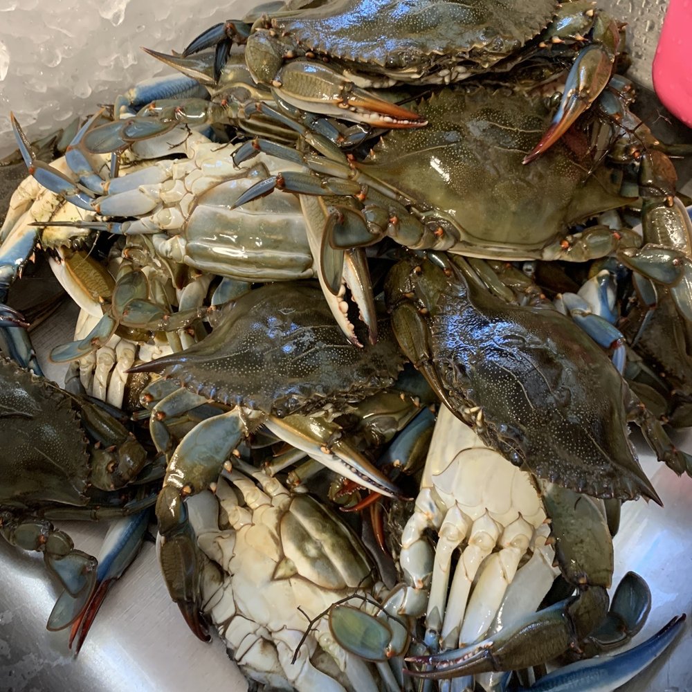 Crabbing in Point Pleasant: Best Times and Places for an Unforgettable Experience