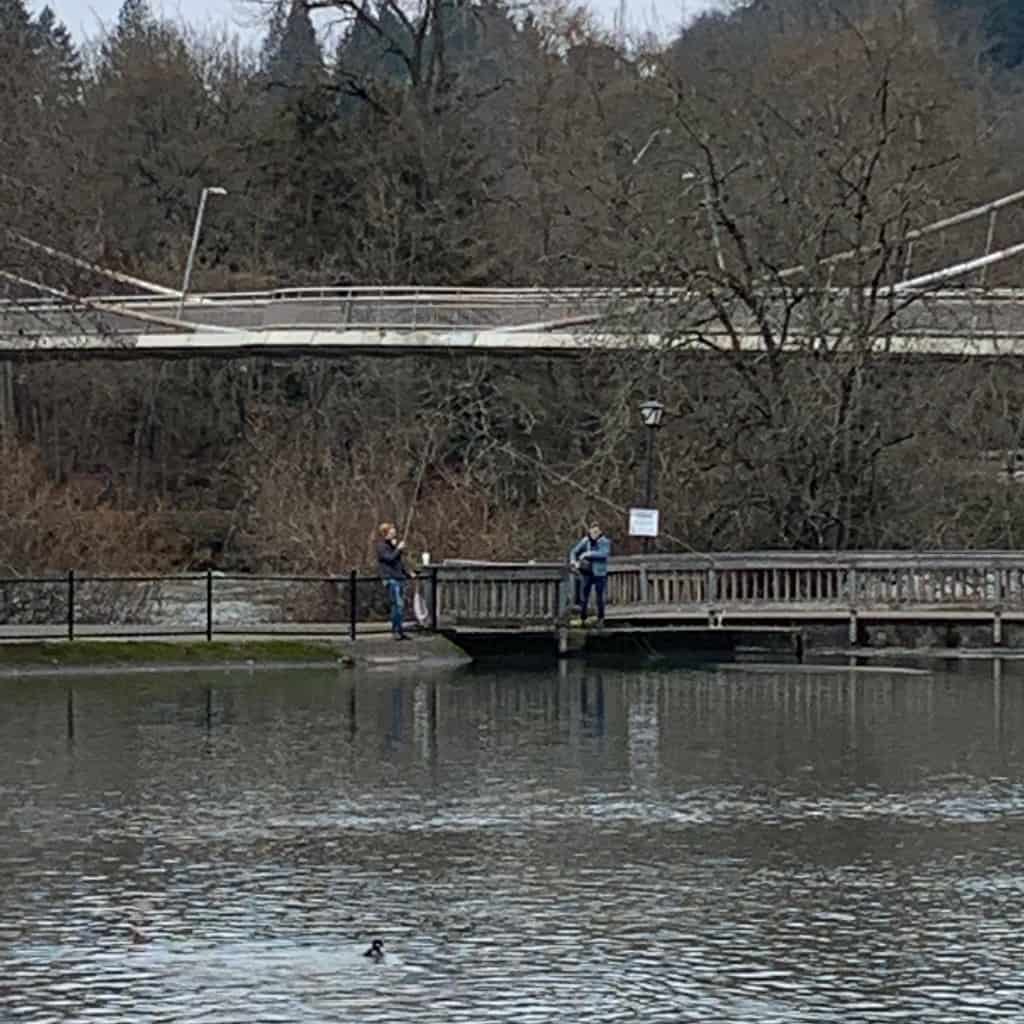 Explore the Alton Baker Canal: A Hidden Gem for Canoeing and Fishing