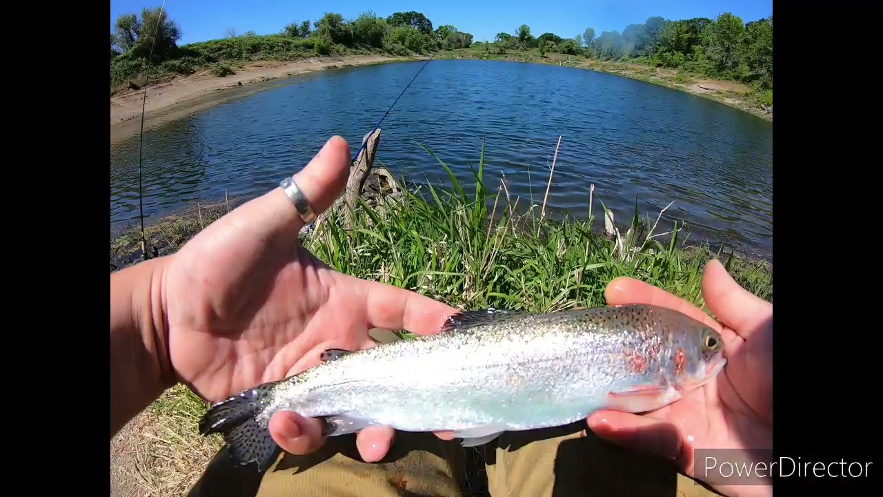 Discover Haldeman Pond on Sauvie Island: A Hidden Gem for Fishing and Nature Lovers