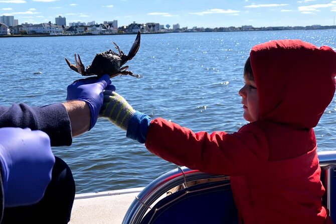 Crabbing in Ocean City: Your Ultimate Guide to a Fun and Affordable Day Out