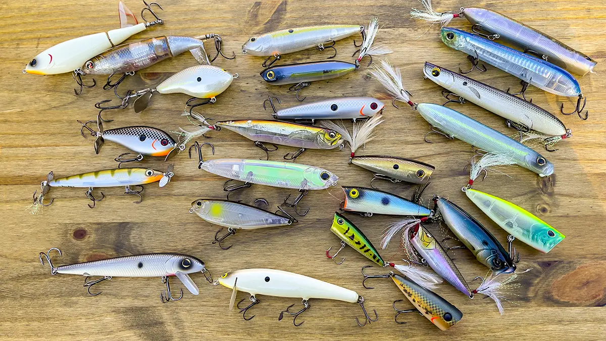 Top Rubber Baits for Fishing: Enhance Your Catch with the Best Lures