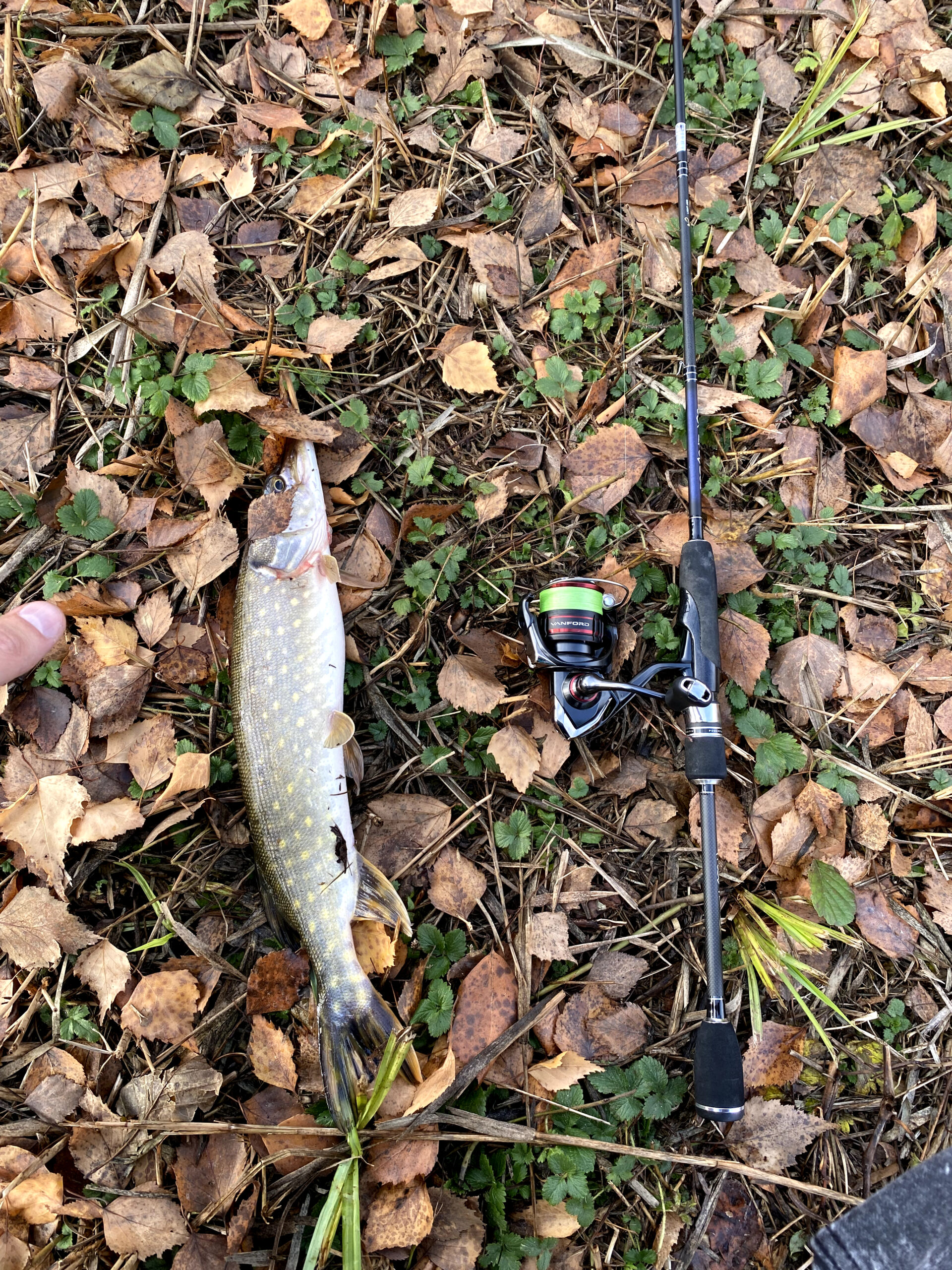 Why Fishing After Rain Can Boost Your Catch: Expert Tips for Bass and More