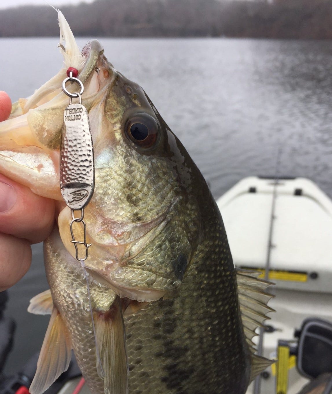 Essential Jigging Spoons for Bass: Techniques for Catching More Fish