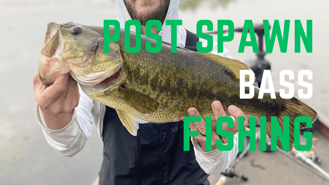 Post Spawn Bass Fishing Guide: Adapting to Conditions and Choosing the Right Lures