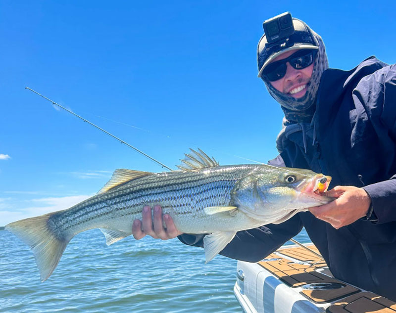 Chincoteague VA Fishing Conditions November 2024: Species, Weather & Tips