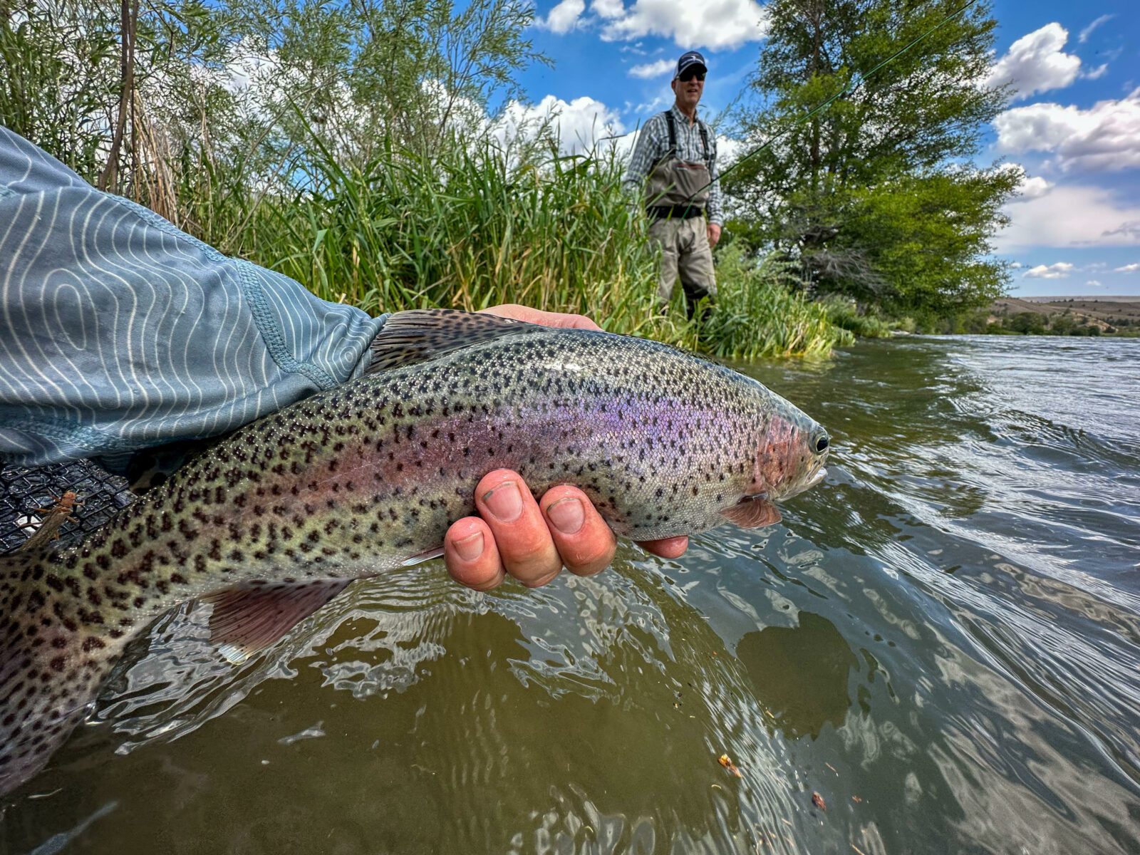 Fishing the Little Deschutes River: Best Tips for a Successful Trip