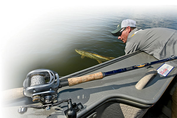 Best Musky Reel: Power & Precision for Big Fish