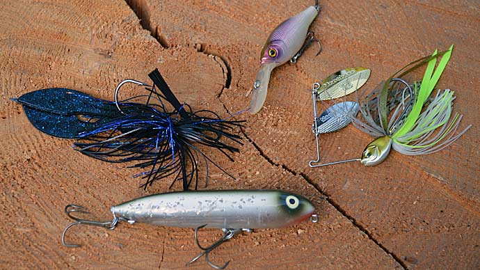 The Ultimate Guide to Best Fall Bass Bait for Topwater & Crankbaits