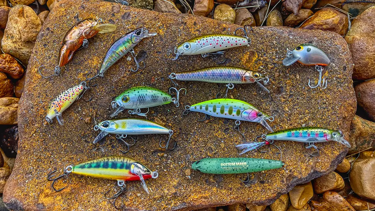 Best Trout Soft Plastics: Top Lures for Catching Trout Effectively