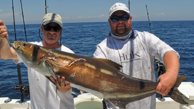 Cape Lookout NC Fishing Report: Best Time to Fish & Local Tips