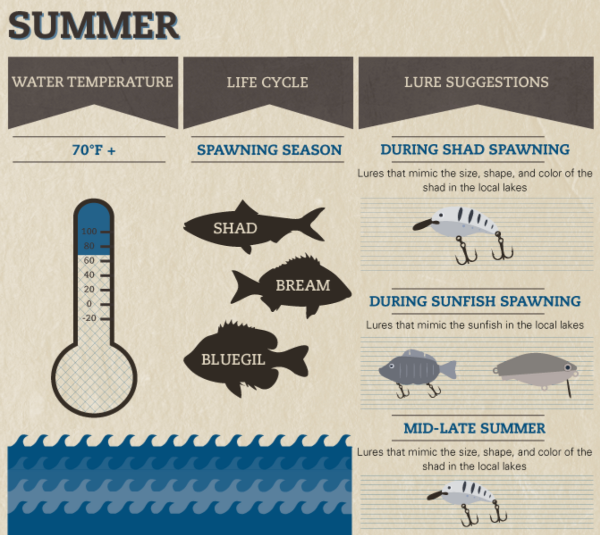 When Do Bass Stop Spawning? Water Temperature and Breeding Stages Explained