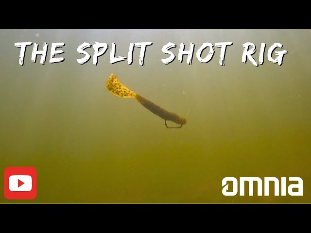 Mastering the Split Shot Rig for Bass Fishing: Tips and Techniques