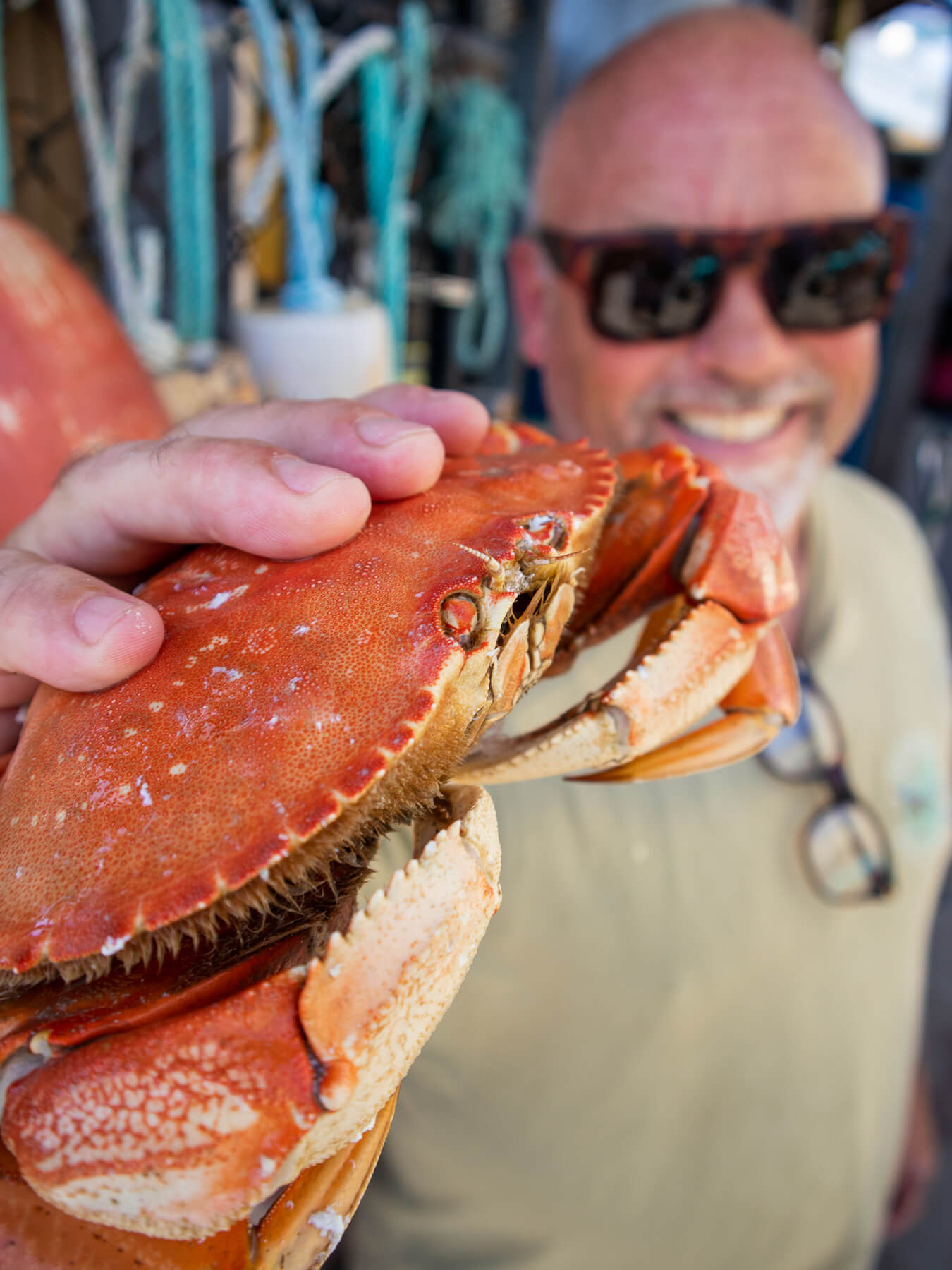 Oregon Dungeness Crab Season 2024: When to Expect Fresh Catches