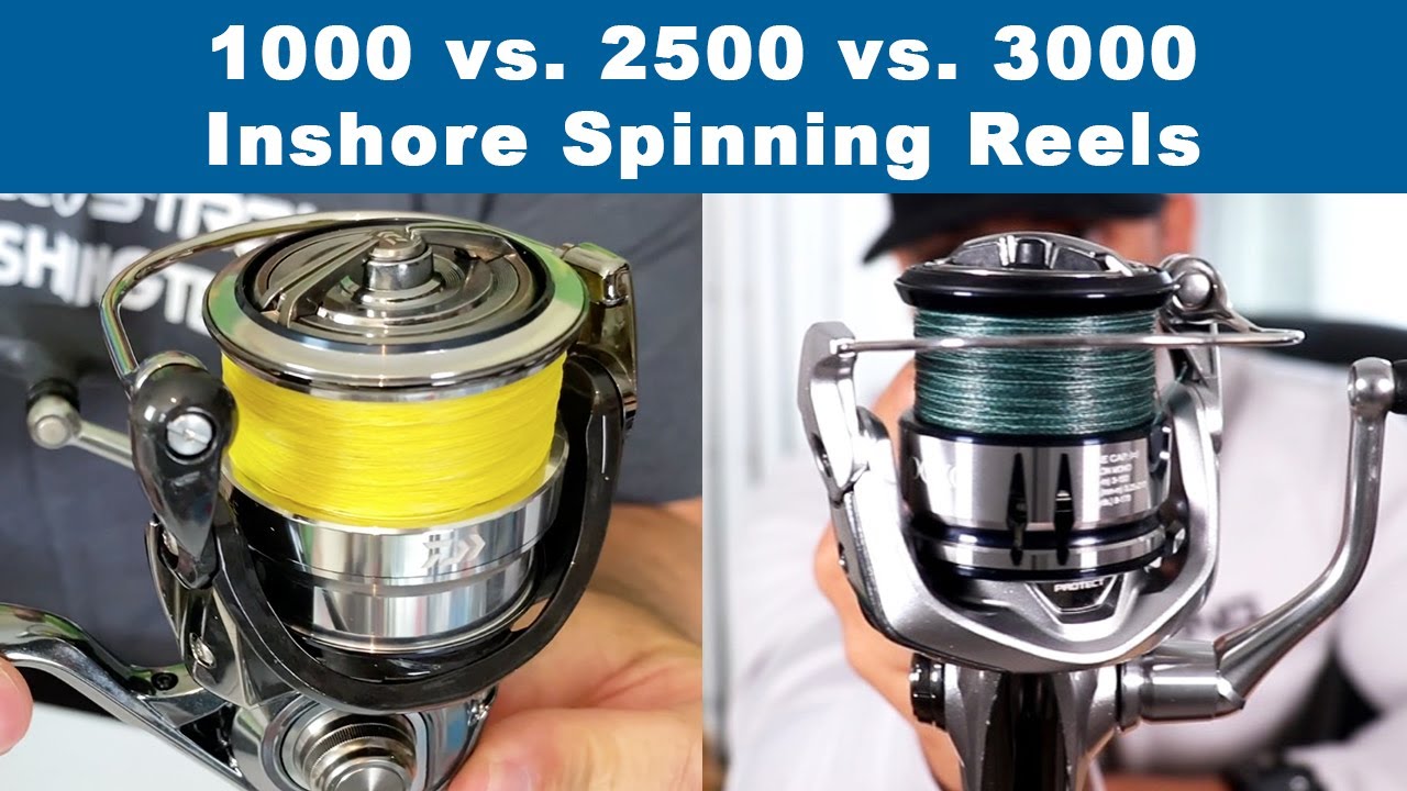 Best Reel Size for Bass Fishing: Ideal 2500-3000 Spinning Reels