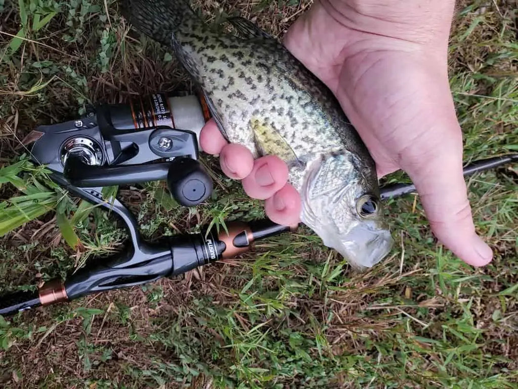 Crappie Fishing with Worms: The Ultimate Guide for Beginners