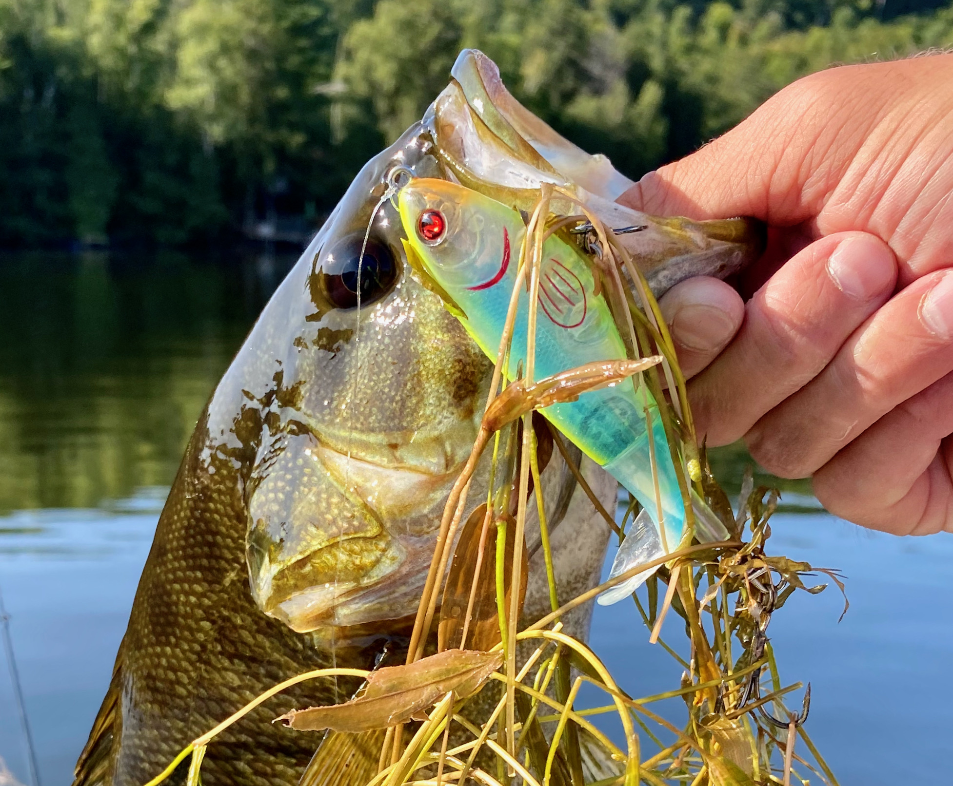 Maximize Your Fall Bass Catch: Proven Lures and Techniques