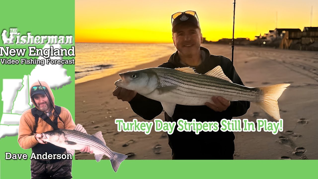 Cape Cod MA Fishing Report: Latest Updates and Hotspots