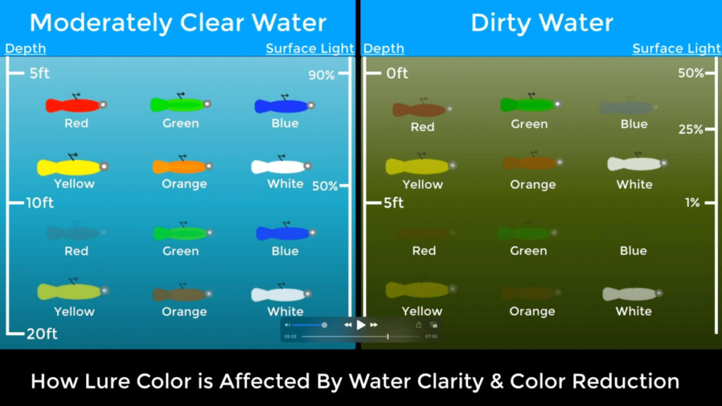 Bass Fishing Lure Color Chart: Choose the Best Colors for Every Water Clarity