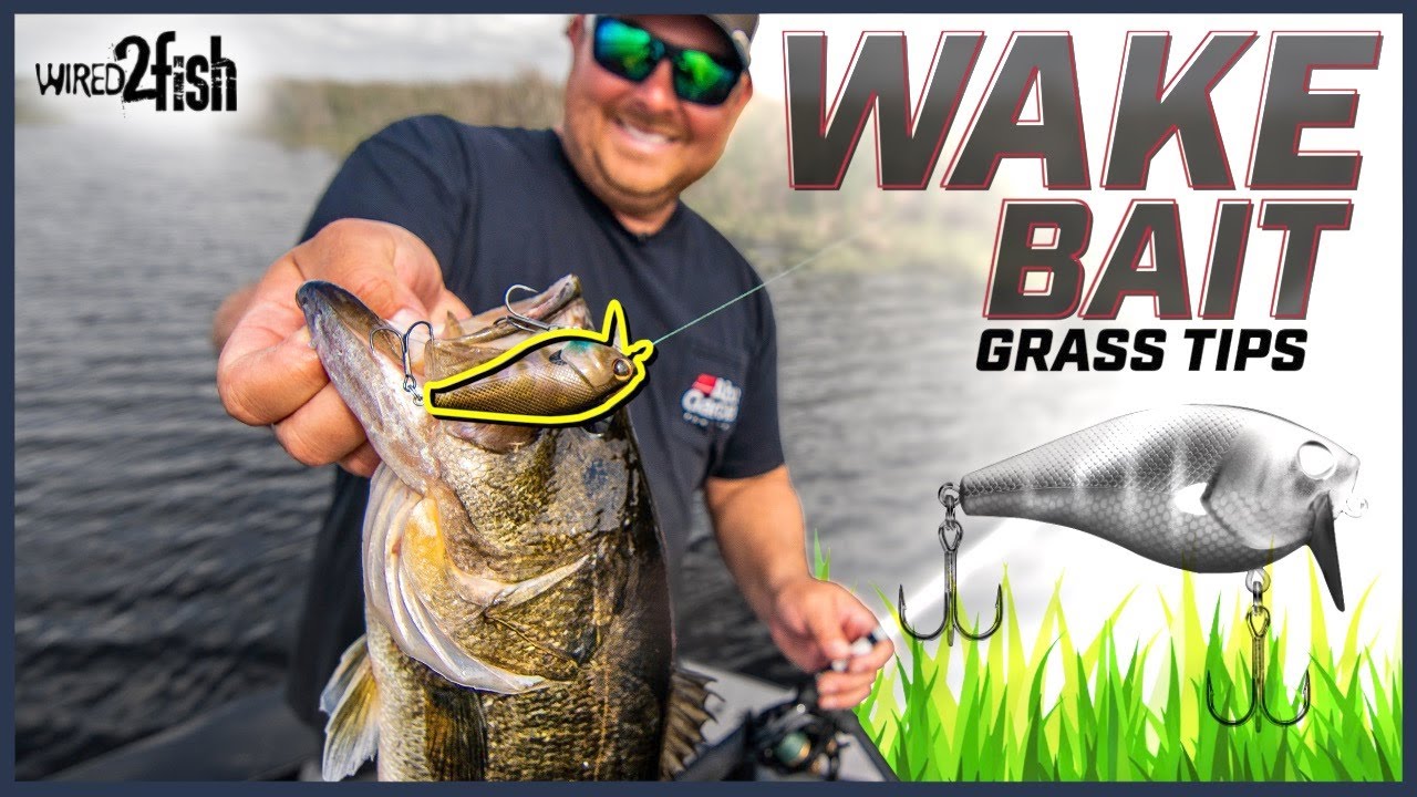 How to Use Wake Baits for Bass Fishing: Tips and Top Lures