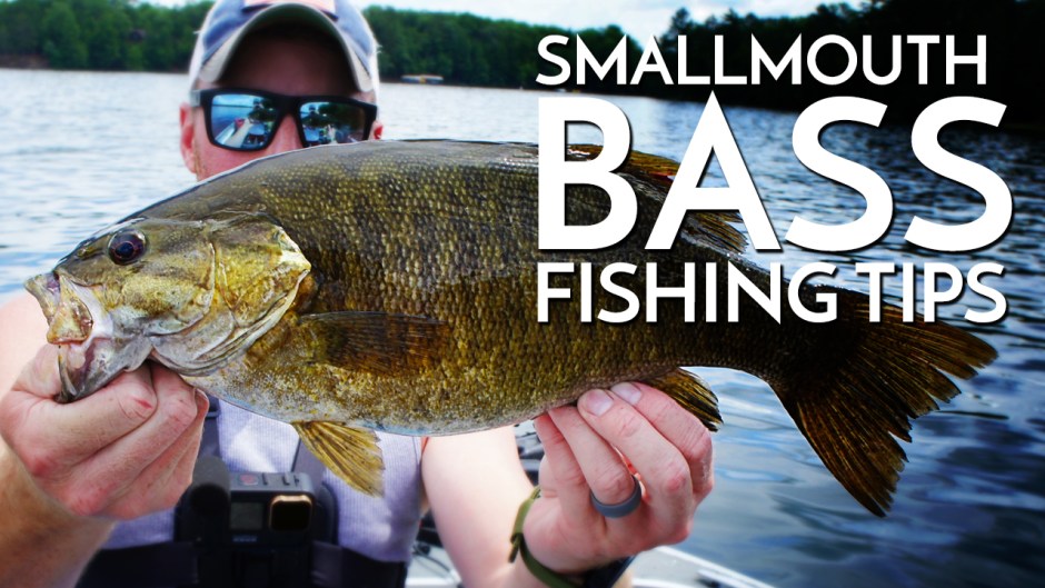 How to Catch a 3lb Smallmouth Bass: Tips and Techniques