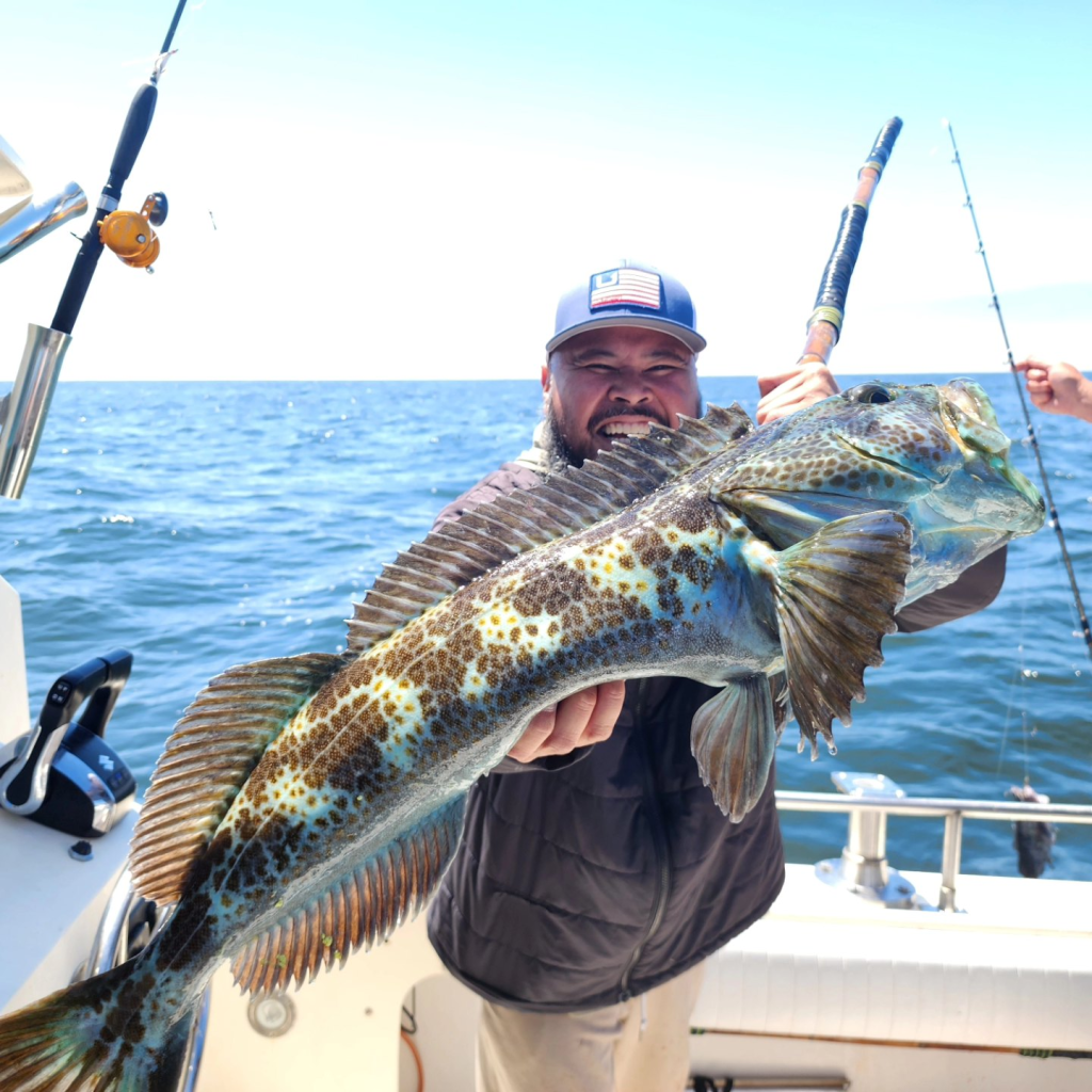 Bodega Bay Fishing Report: What's Biting This Week (November 2024)