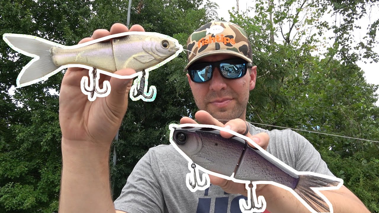 Explore the Best Glide Baits for Ultimate Fishing Success