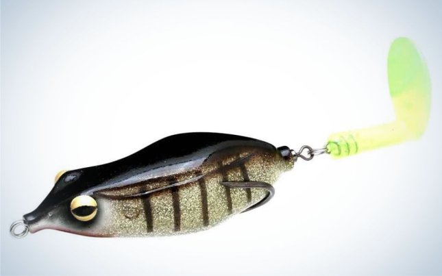 Best Frog Lures for Heavy Cover: Top Choices for 2024