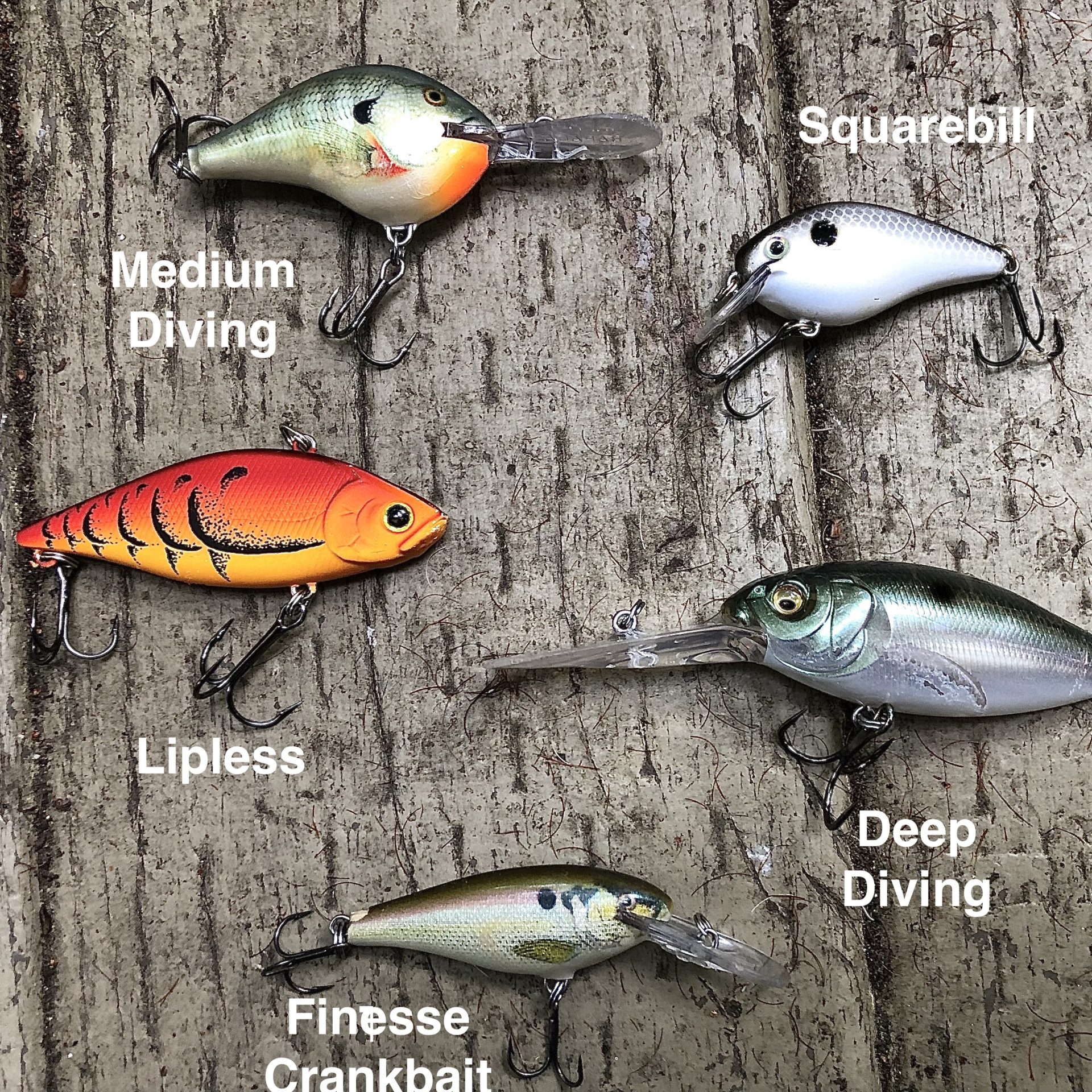 Ultimate Guide to the Best Crankbait for Bass: What Works Best?