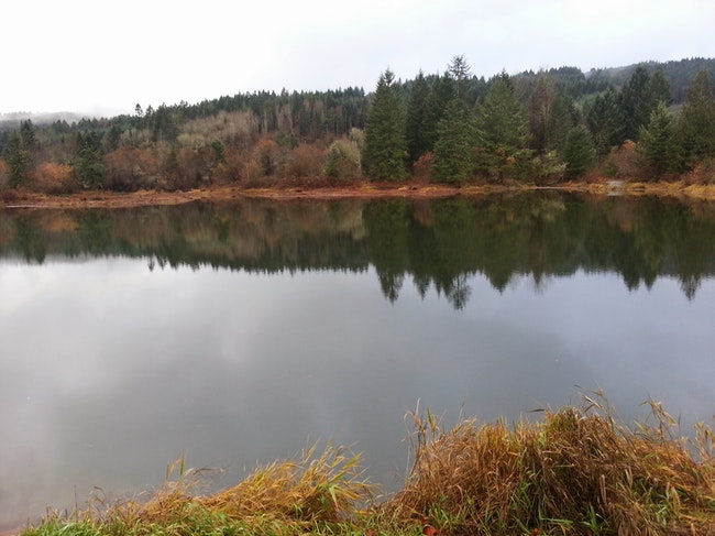 Explore Dorman Pond in Gales Creek: A Hidden Fishing Paradise