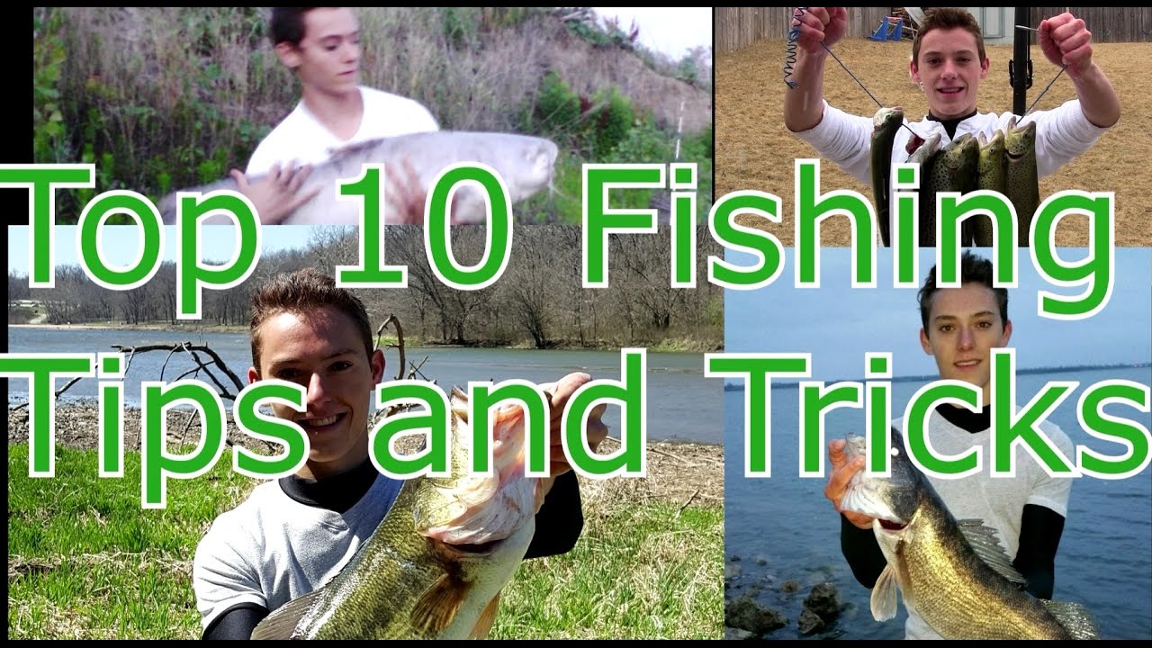 Top Fishing Techniques for Beginners: Tips to Catch More Fish