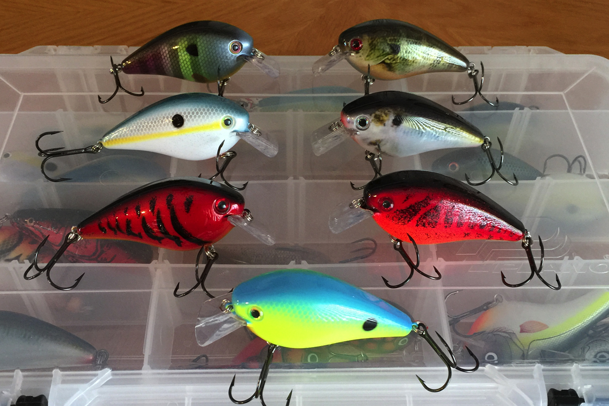 How to Choose the Perfect Tennessee Shad Color for Your Lake