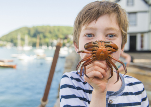 Ultimate Guide to Seaside Crabbing: Best Spots and Tips for Success