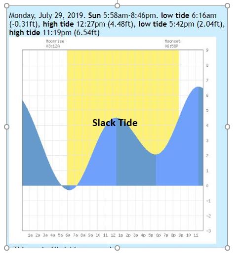 The Best Tide for Crabbing: High Tide or Slack Tide?