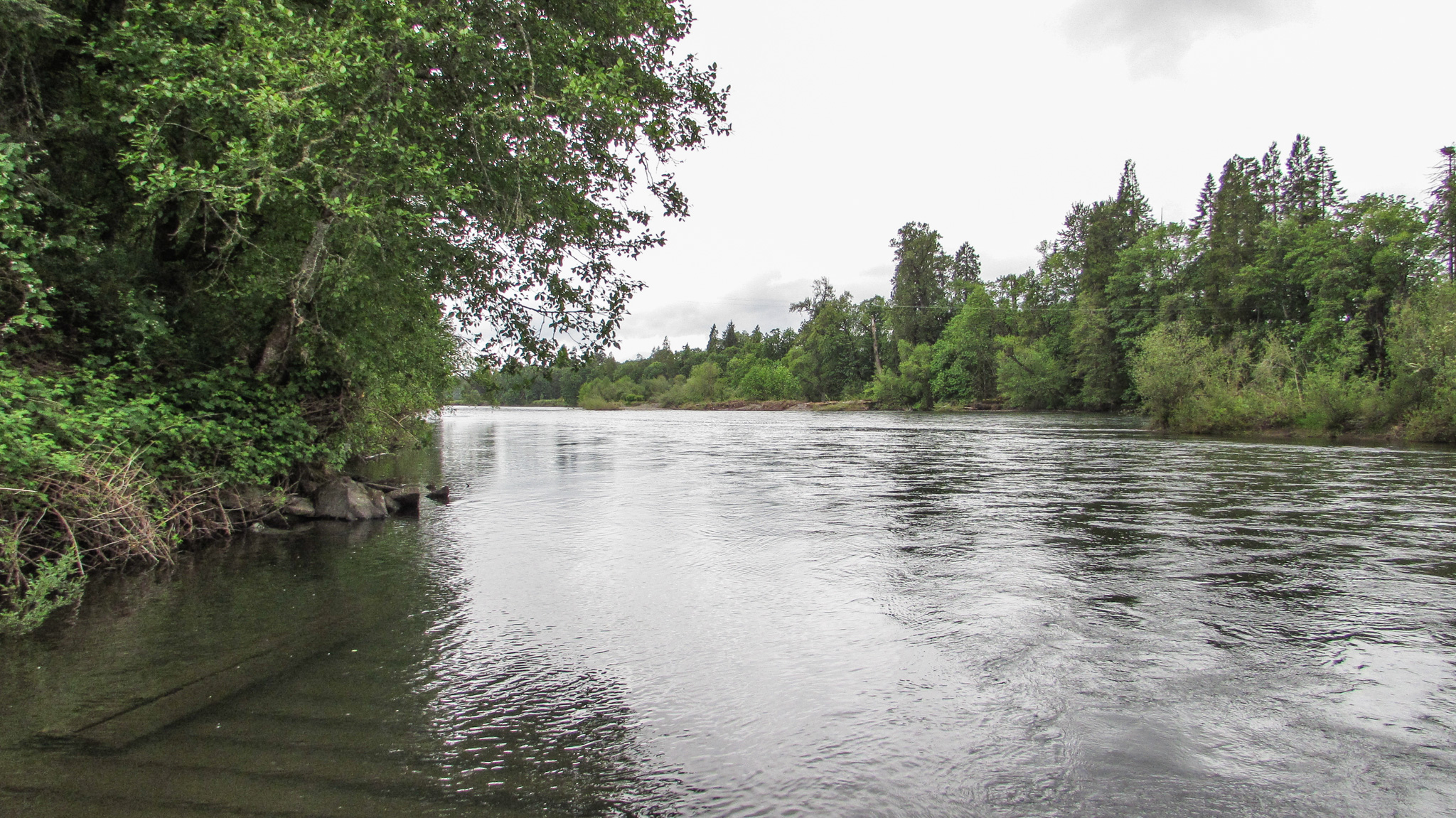 Explore Harvest Landing Park: A Scenic Destination in Springfield, Oregon