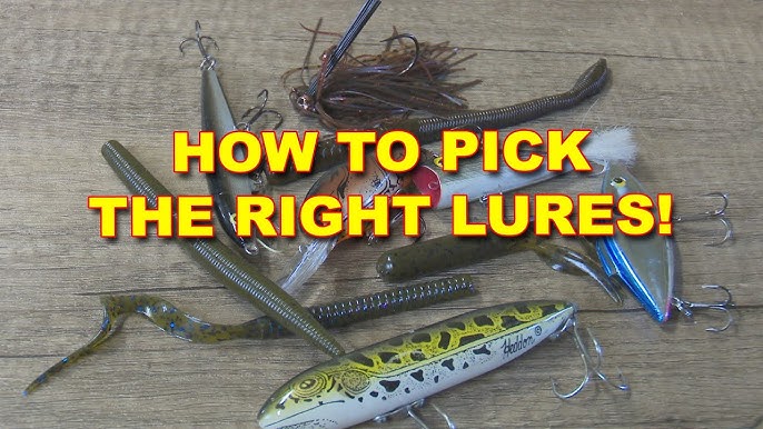 How to Choose the Perfect Drop Shot Lures for Every Fishing Trip