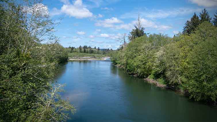 Discover the Best Fly Fishing Locations in the Pacific Northwest (PNW)