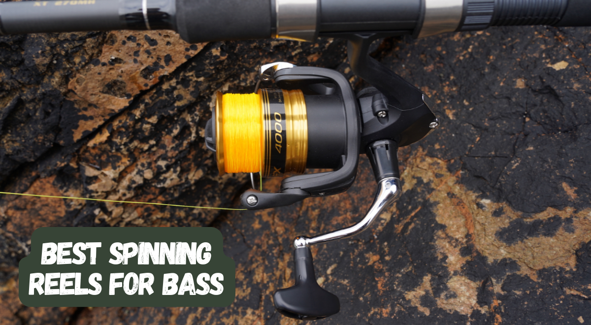 Best Bass Spinning Reel: Top Picks for Ultimate Performance