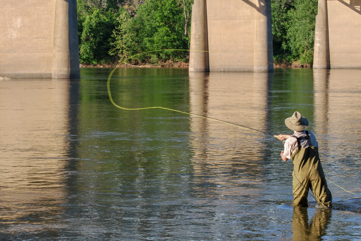 Ultimate Guide to Fishing in Corvallis, Oregon: Tips and Hotspots