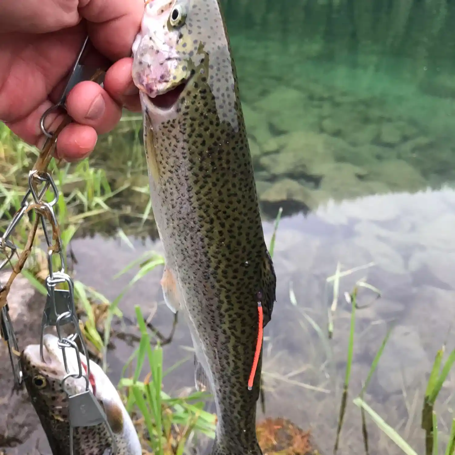 Carmen Reservoir Oregon: A Hidden Gem for Trout Fishing Near Bend