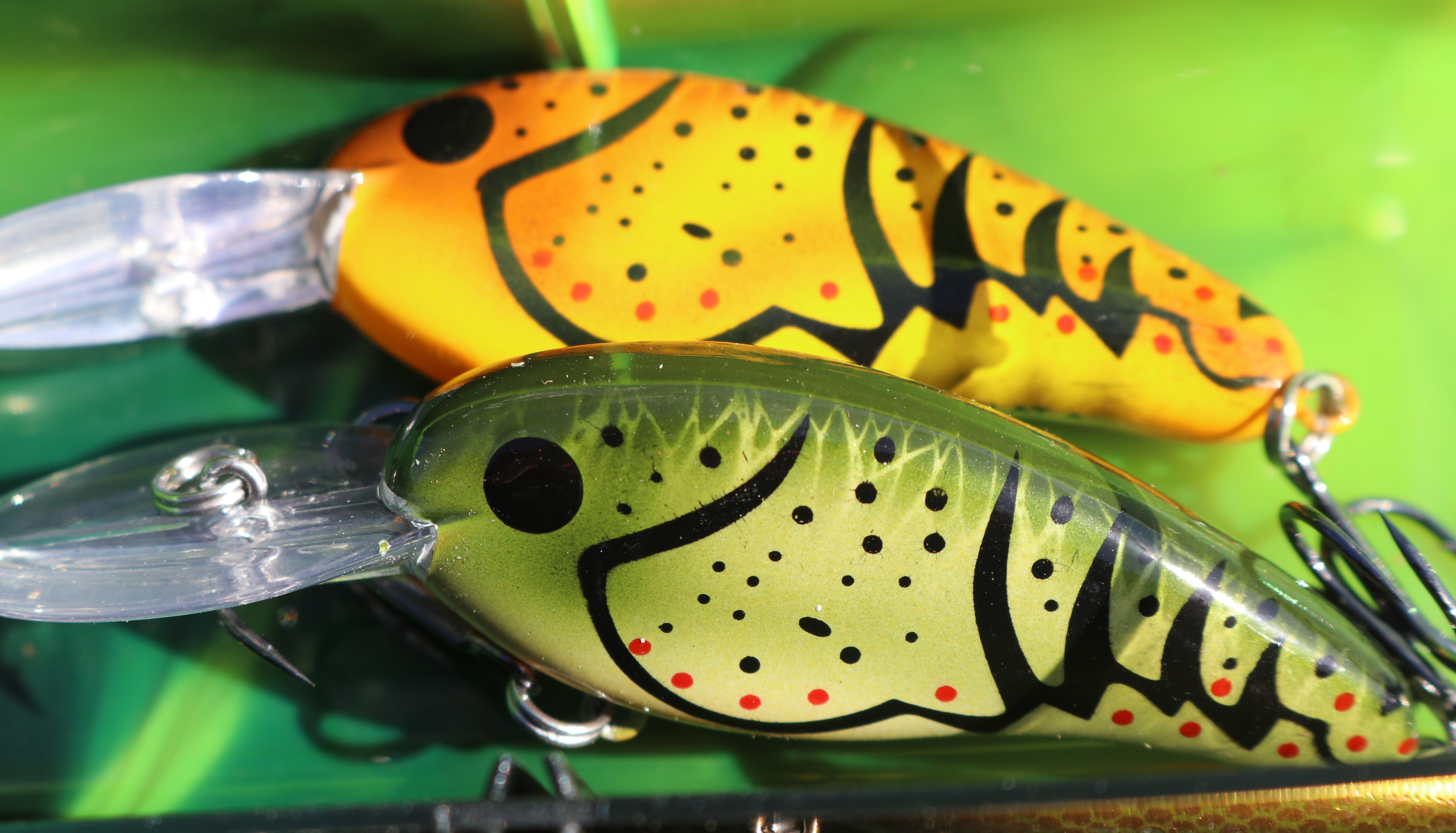 Top-Rated Crankbait Colors for Bass Fishing Success